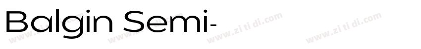 Balgin Semi字体转换 Balgin Semi字体转换